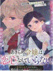 蜜桃在线青春短剧《夏日终曲》海报